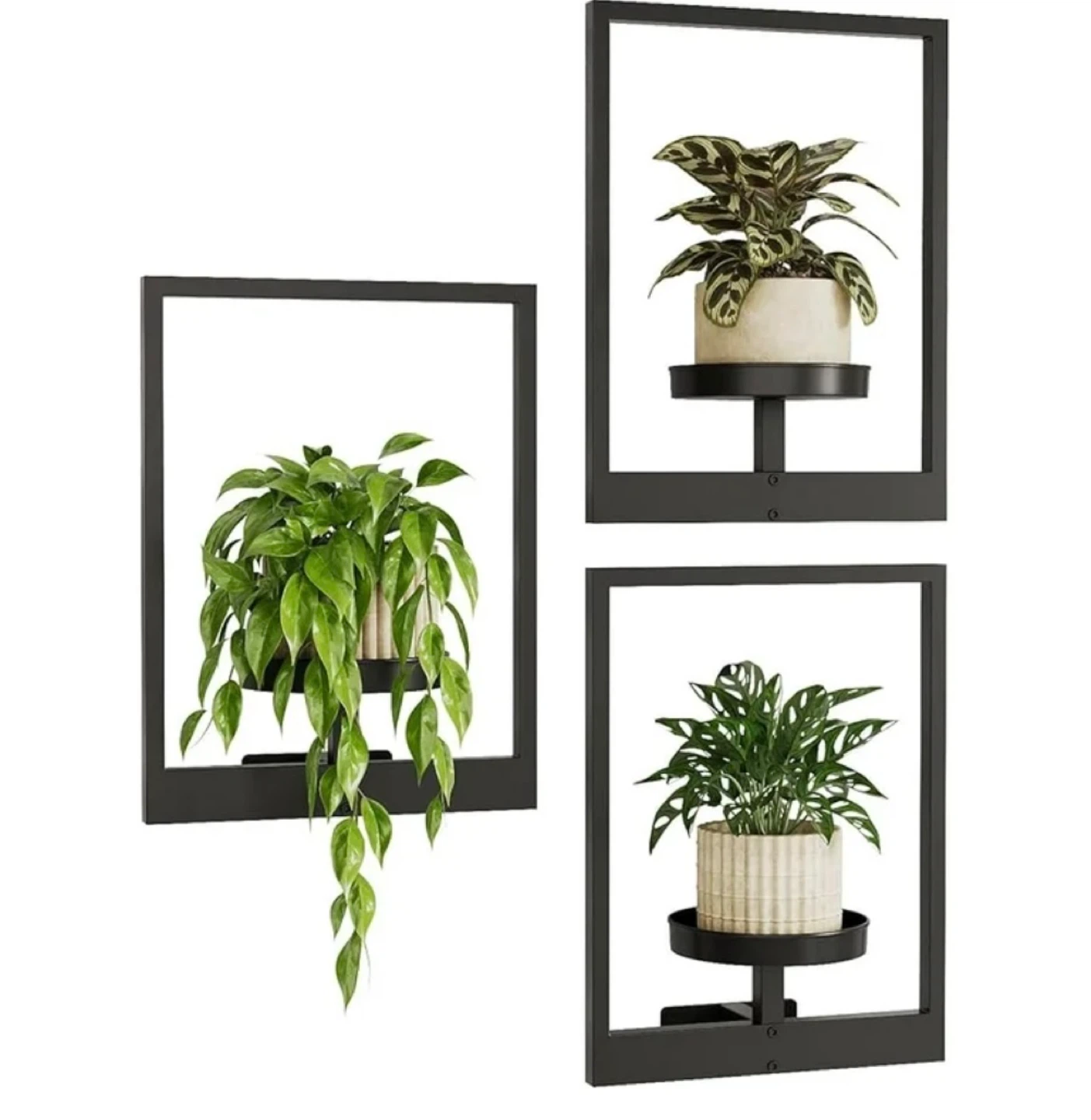 Plant Holder Shelves (Pack of 3)