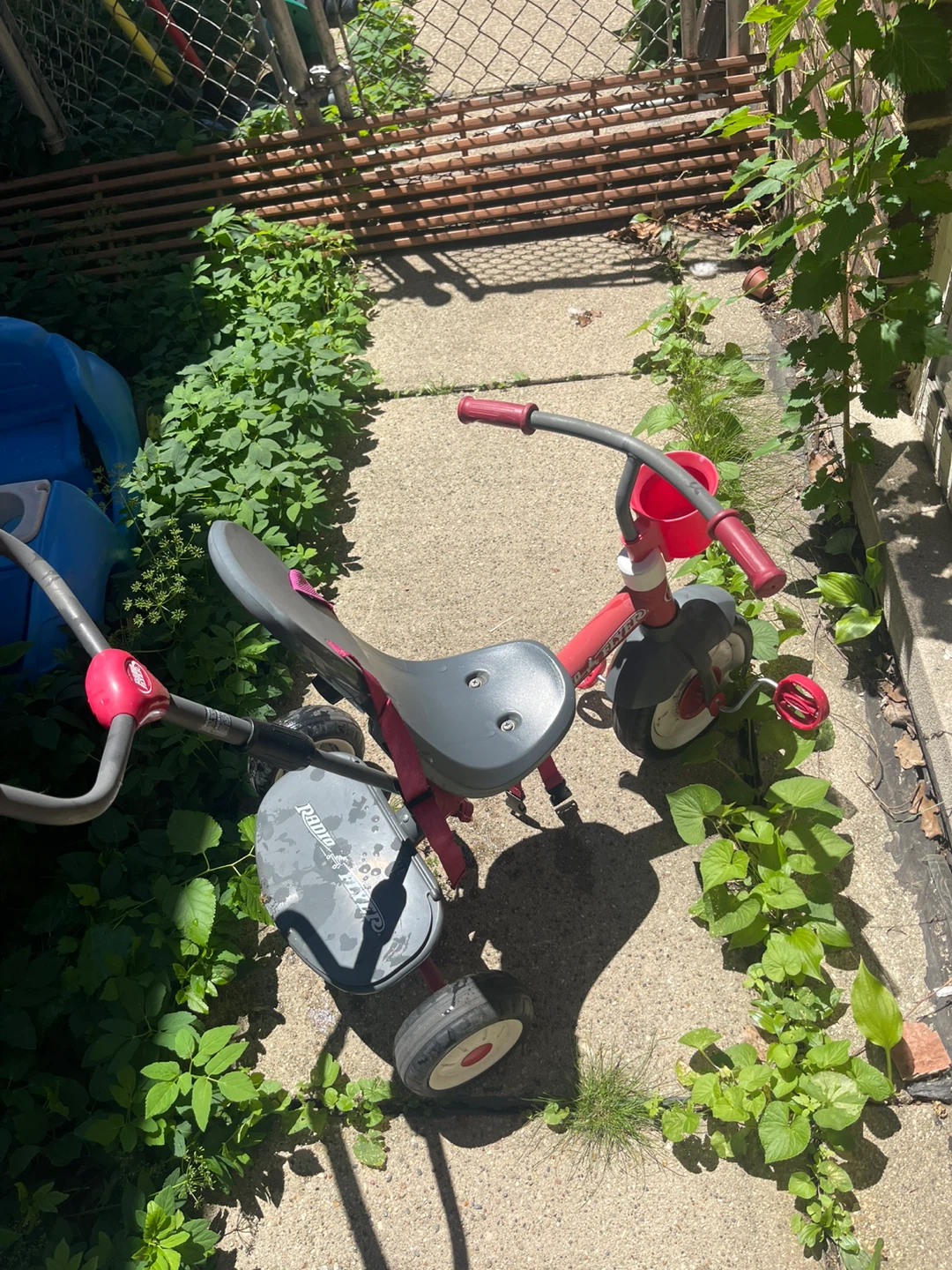 Radio Flyer Tricycle