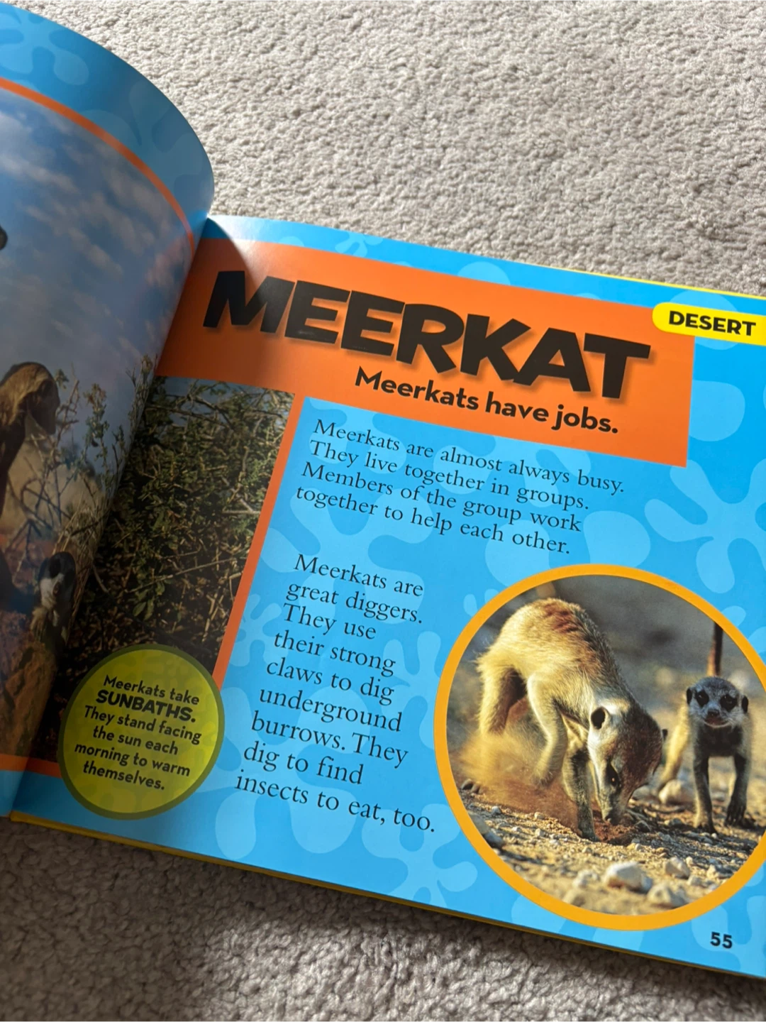 ⚽ National Geographic Kids First Big Book of Animals - photo 2