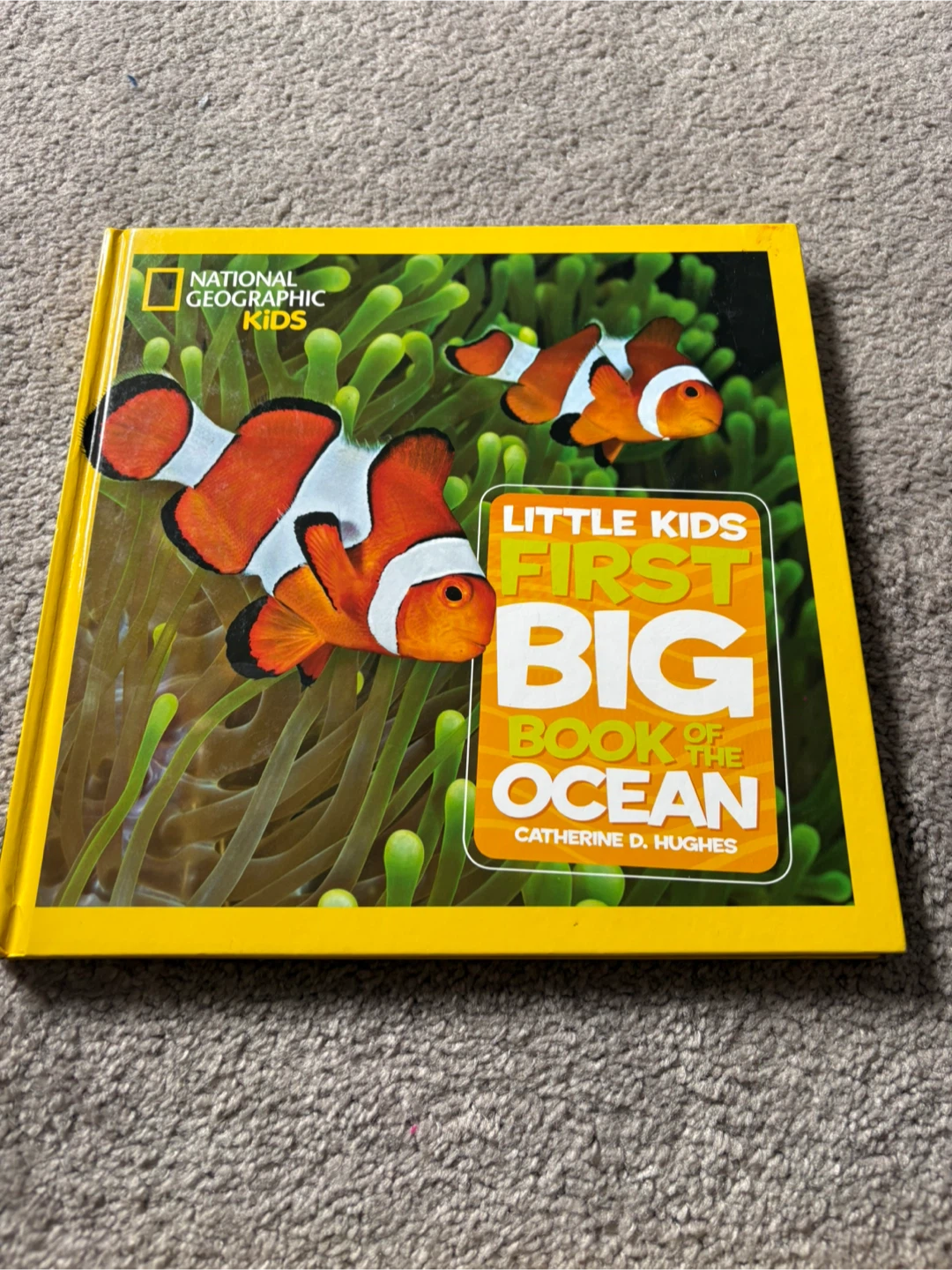 ⚽ National Geographic First Big Book of the Ocean