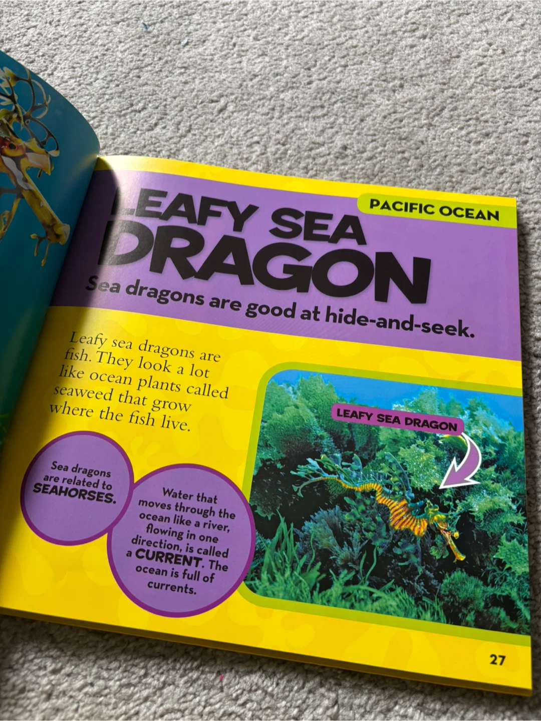 ⚽ National Geographic First Big Book of the Ocean - photo 2