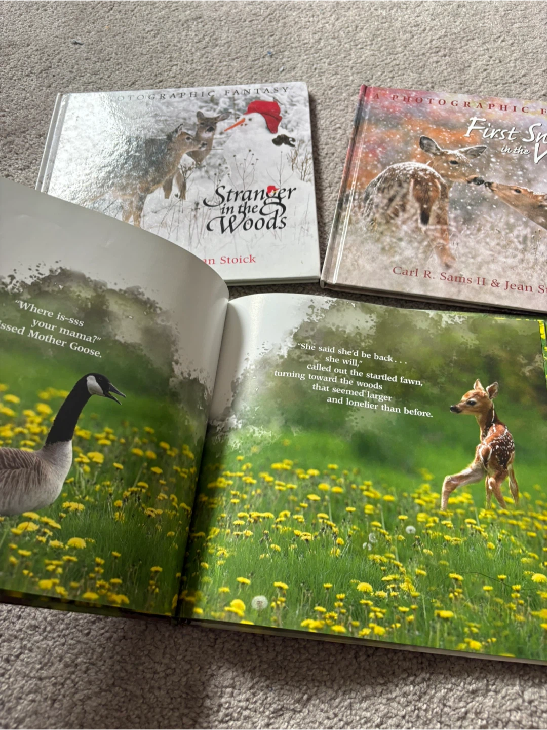 ⚽ A Photographic Fantasy Books set - photo 2