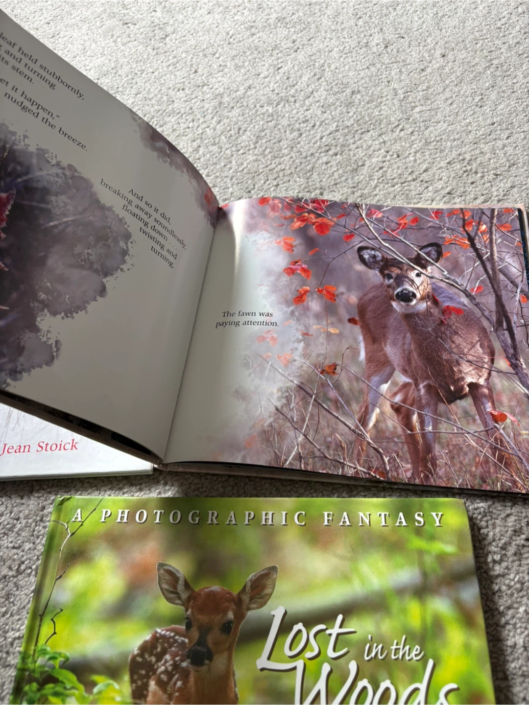 ⚽ A Photographic Fantasy Books set - photo 3