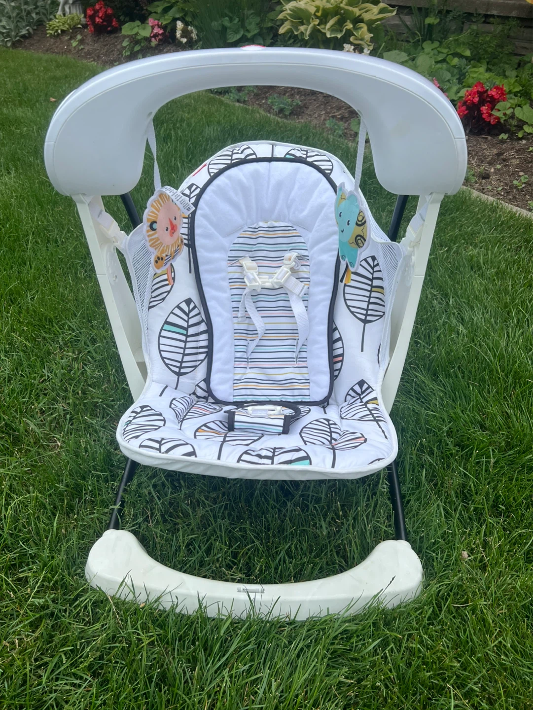 Fisher-Price Baby Rocker - photo 2