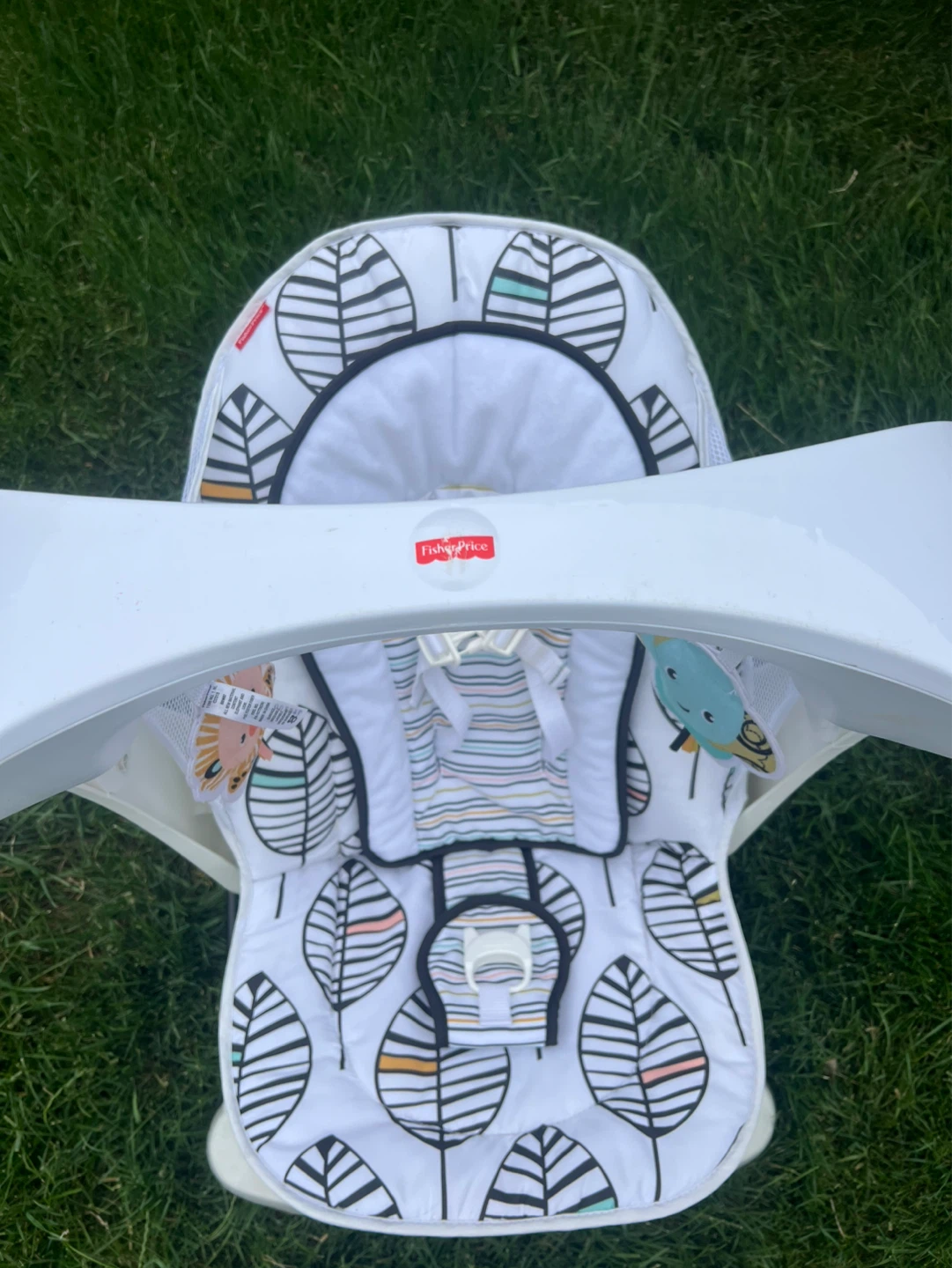 Fisher-Price Baby Rocker