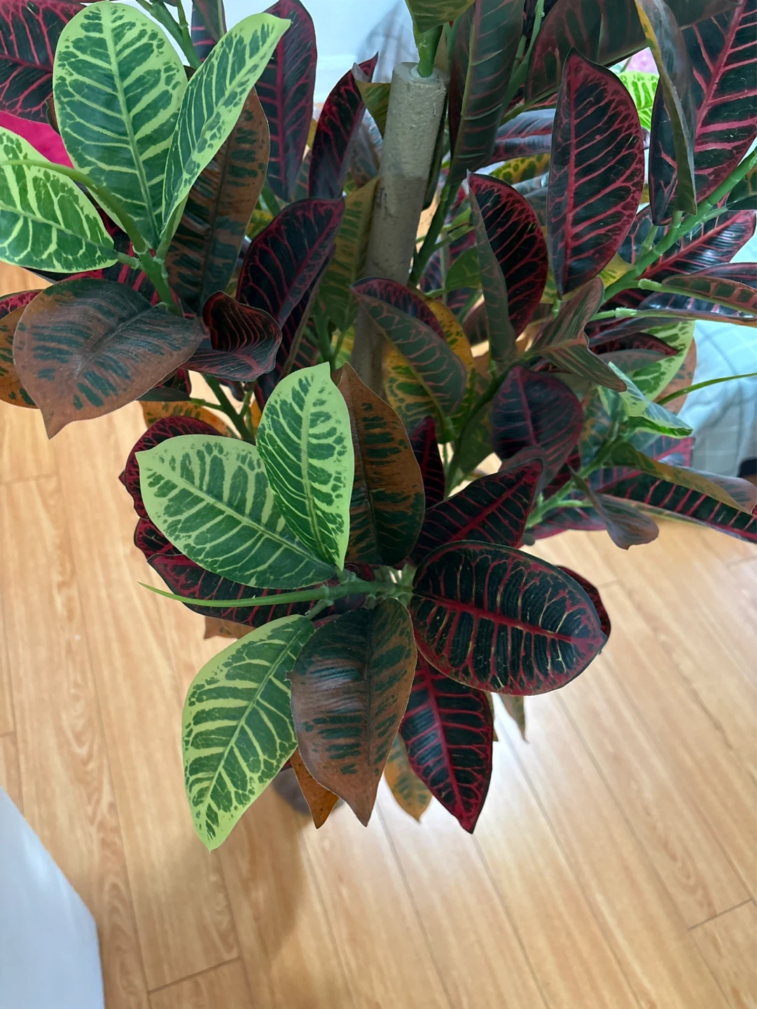 Artificial Croton Plant - photo 4