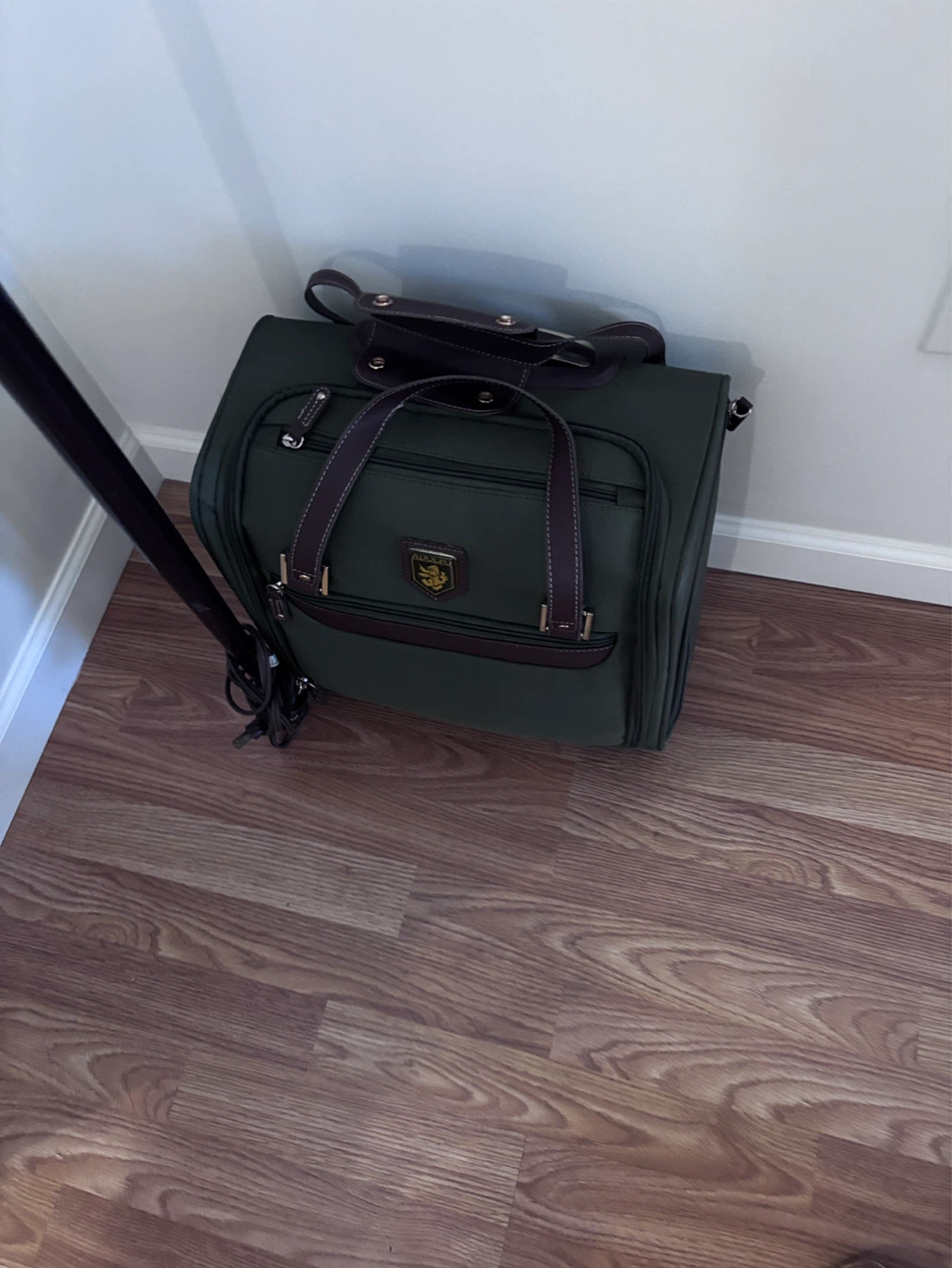 Green Carry-On Luggage with Brown Trim