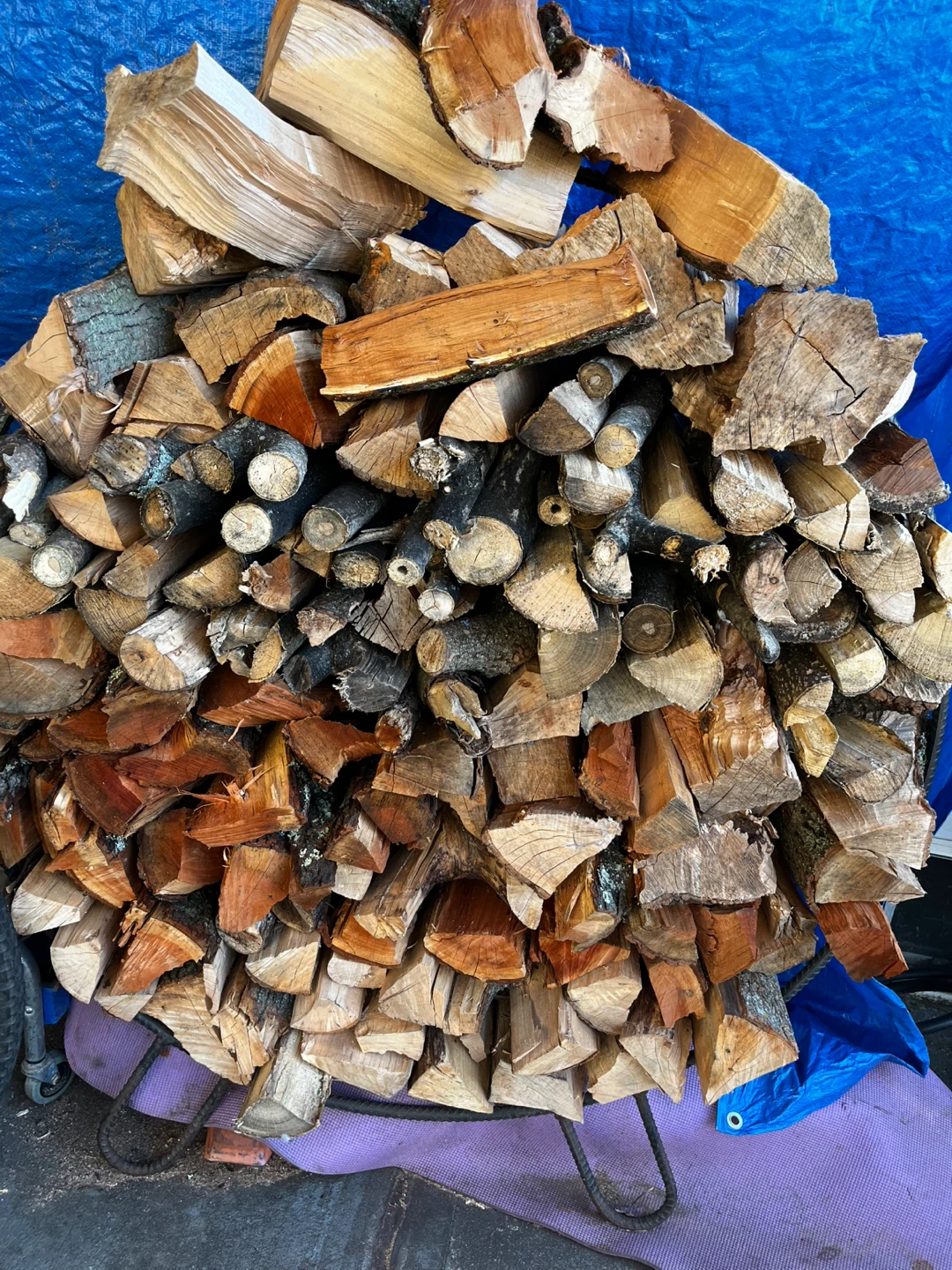 Seasoned Firewood Logs