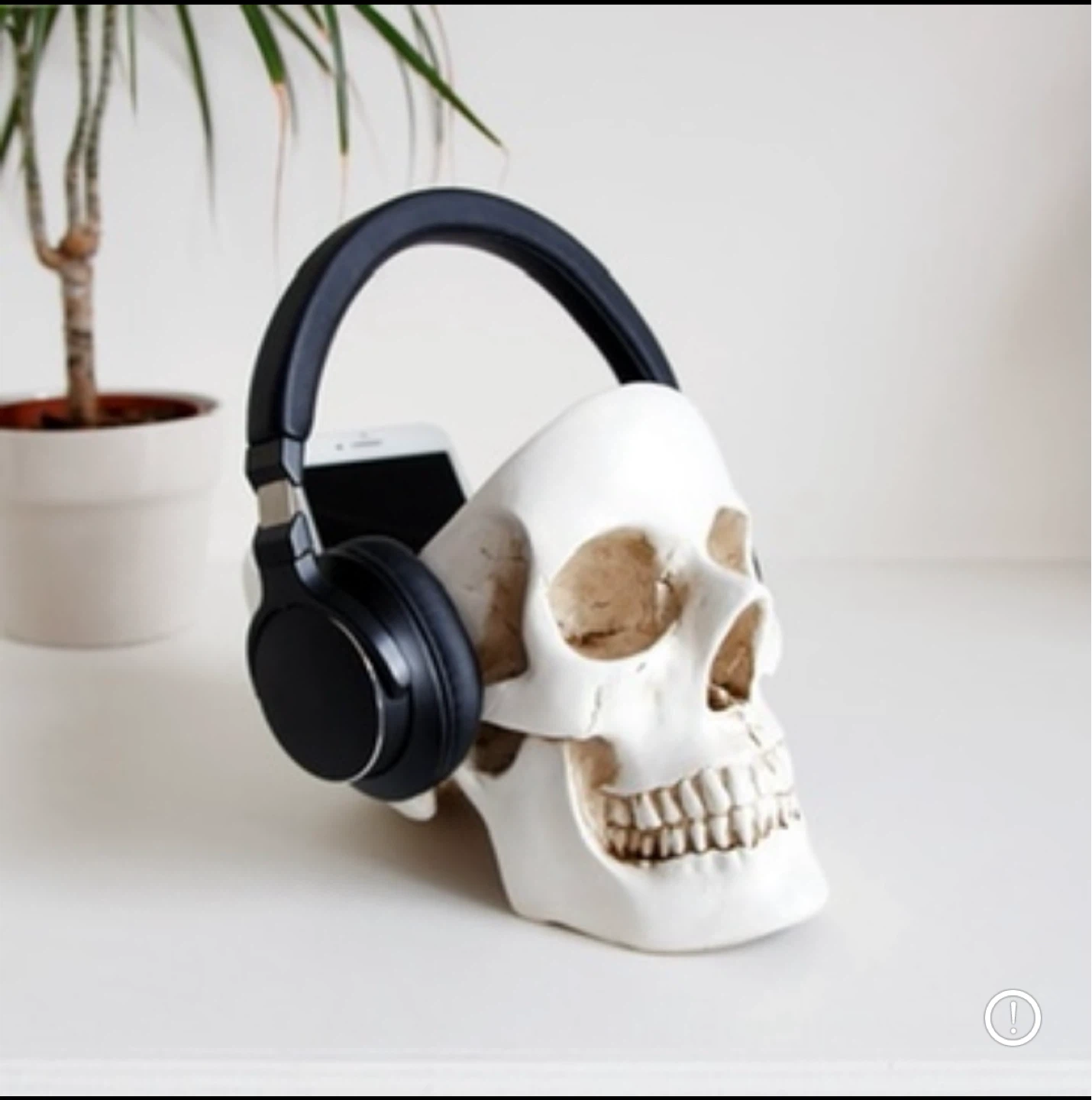 BNIB - Decorative Storage Skull (2 Available) - photo 2