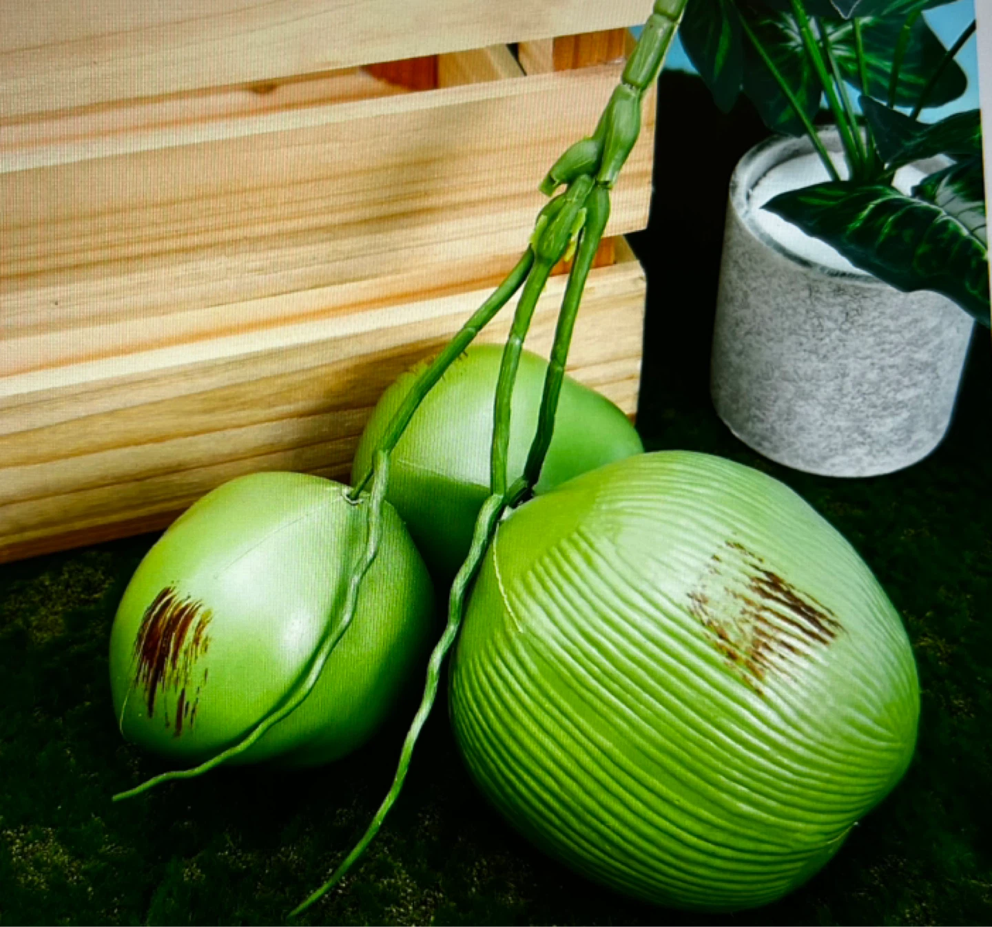 Artificial Coconuts Bunch - photo 5