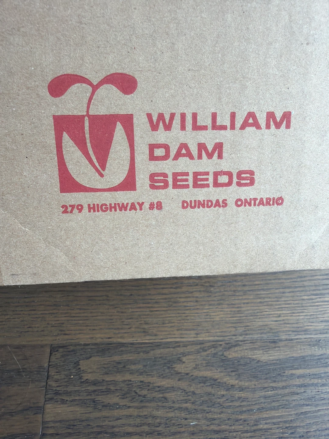William Dam Seeds Gladioli Bulbs - Mixture of Colours - photo 2
