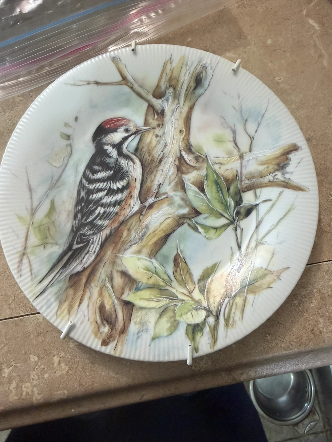 Royal Burlington Collection Collectors Plate Woodpecker