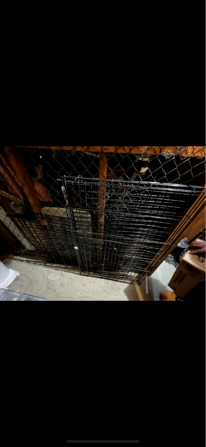 Wire Dog Crate large size - photo 2
