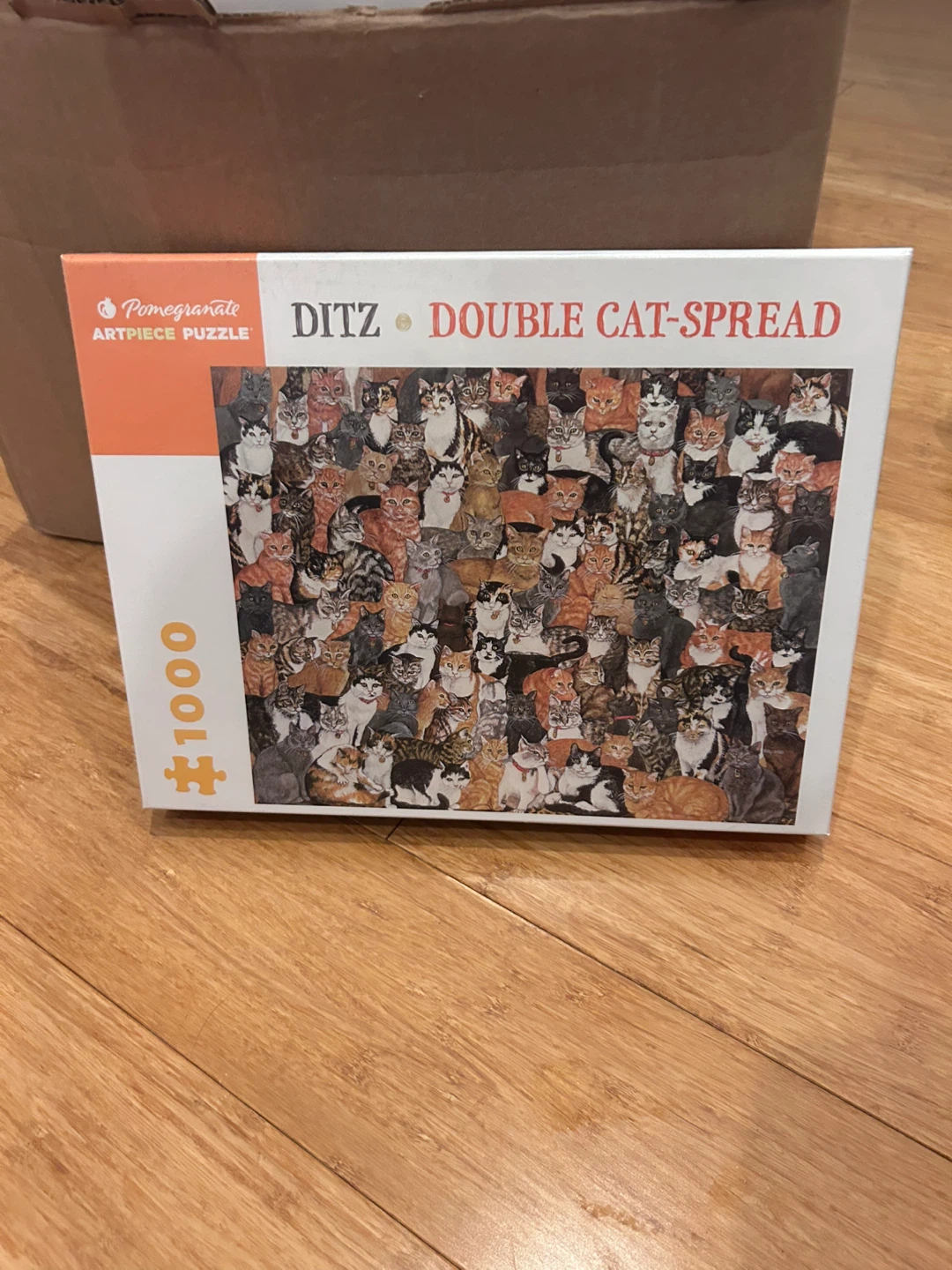 Unopened Cat Puzzle