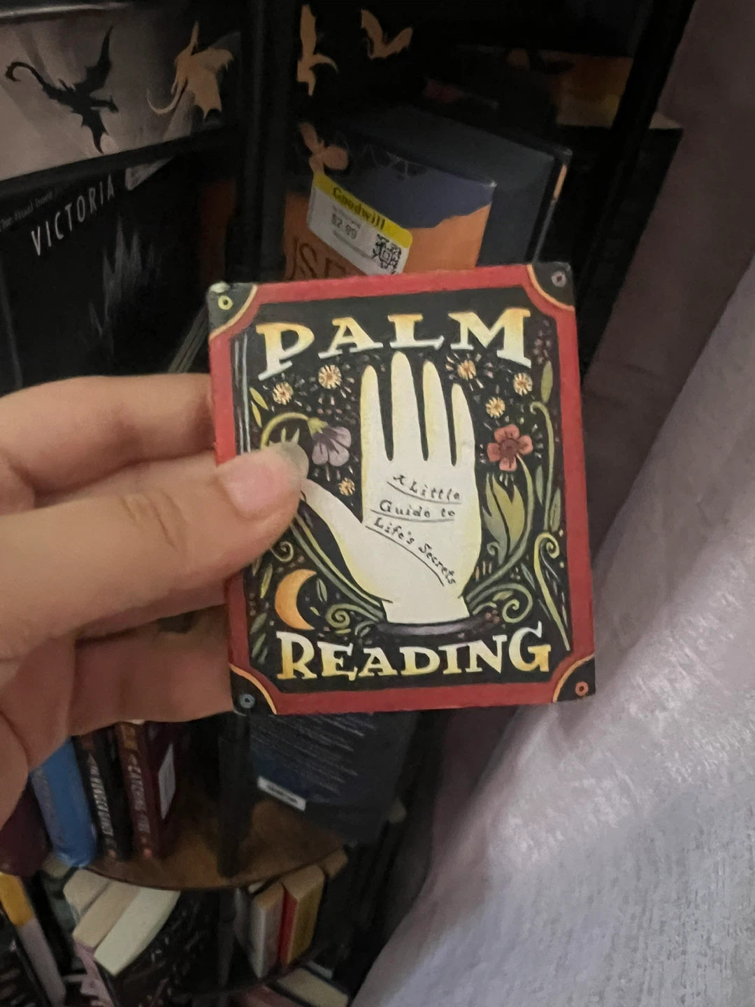 Palm Reading Book ⚽