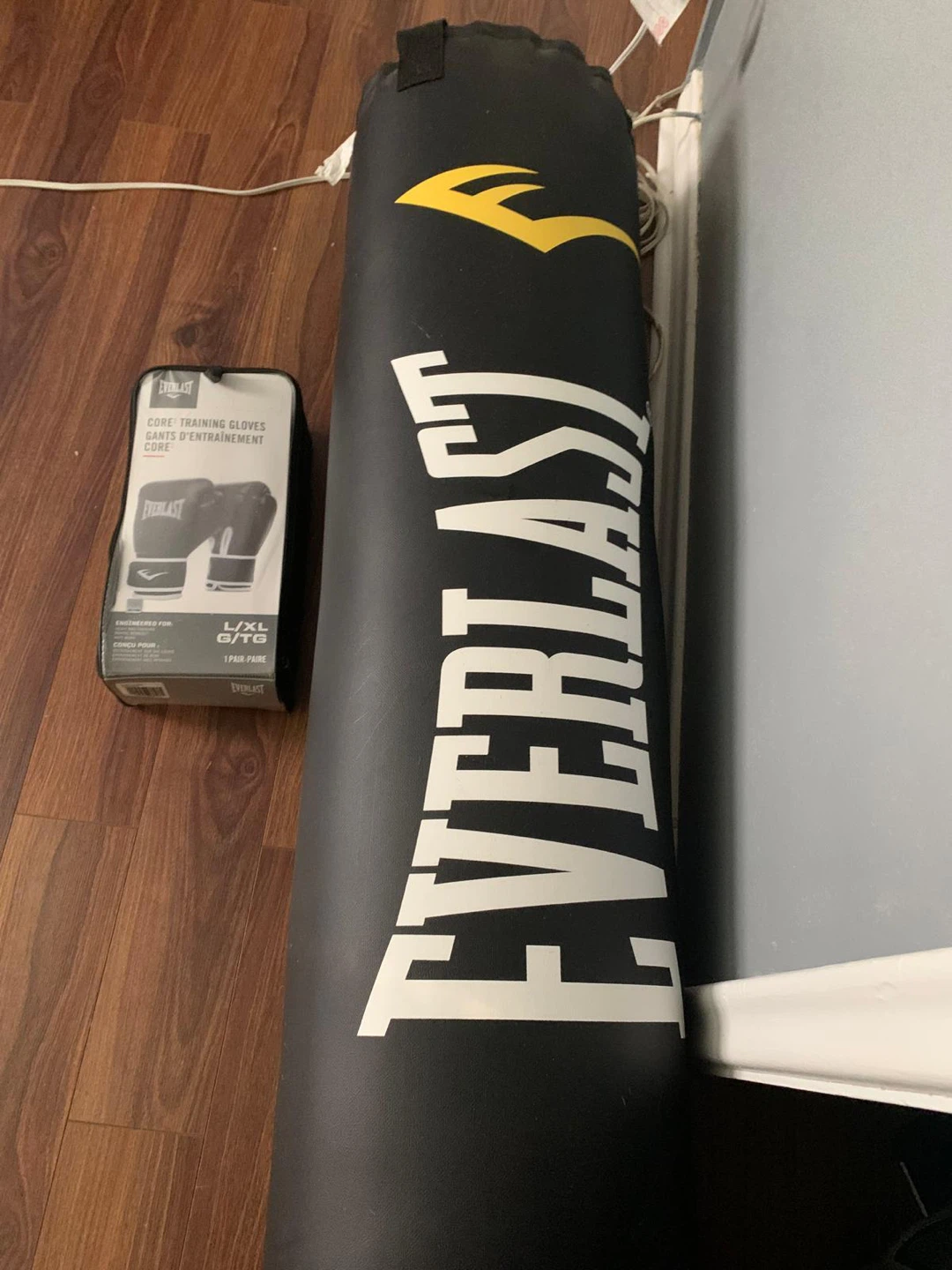 Everlast Punching Bag and Training Gloves