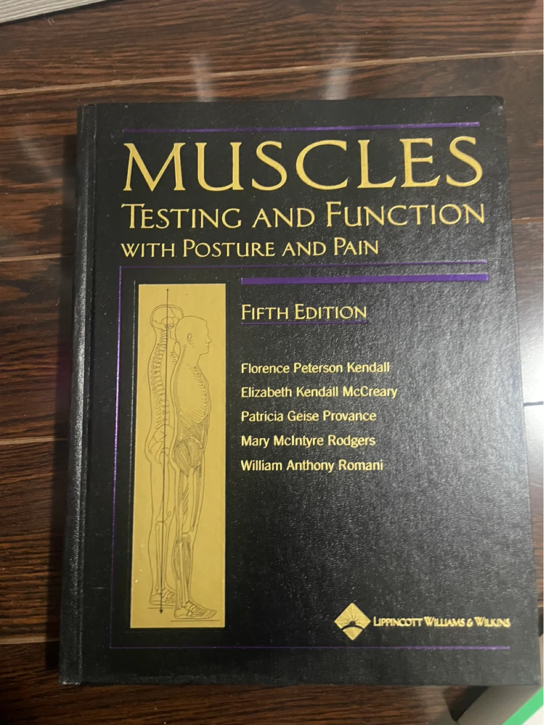 ⚽️Muscles: Testing and Function Posture