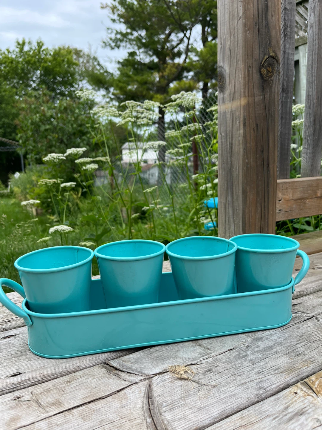 Teal Metal Planter Tray with 4 Pots