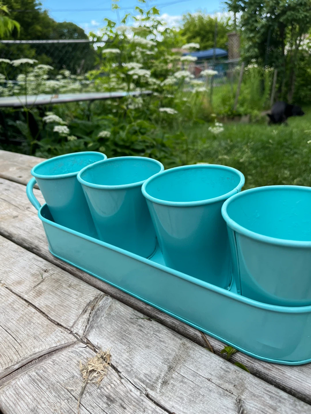 Teal Metal Planter Tray with 4 Pots - photo 5