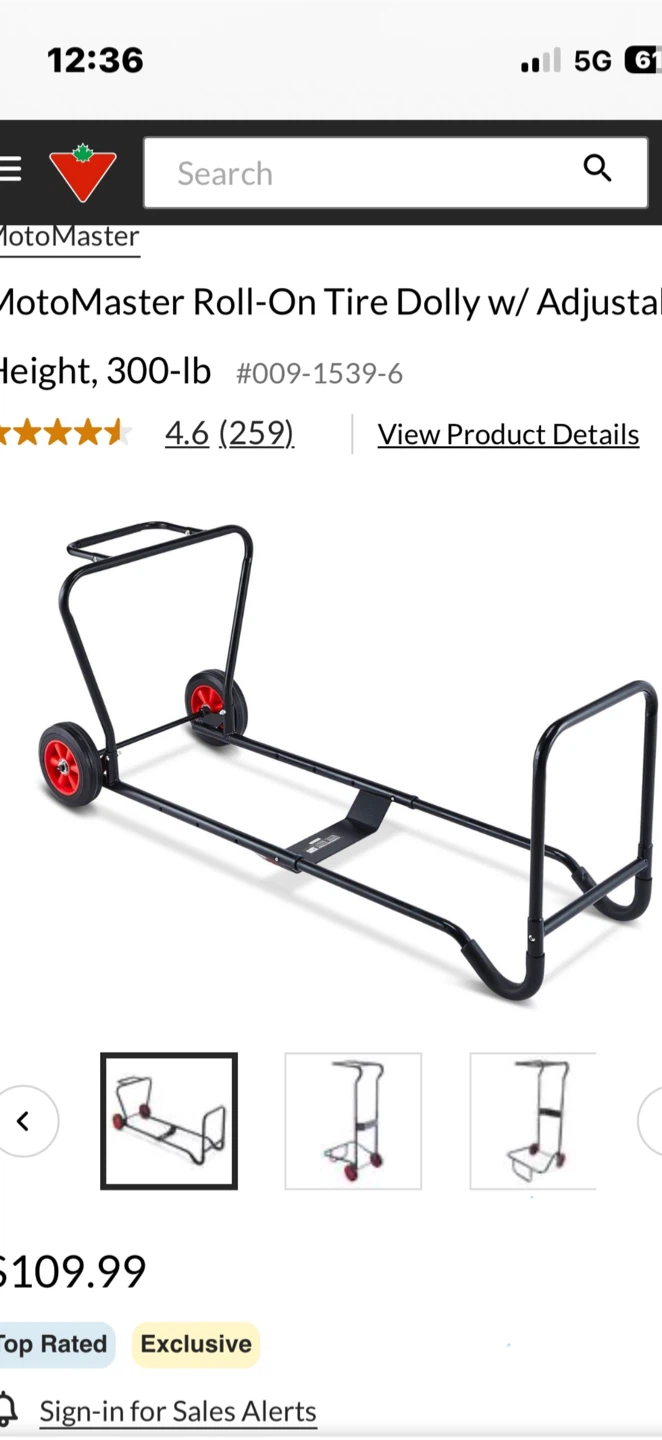 Tire storage mobile rack and tire cover