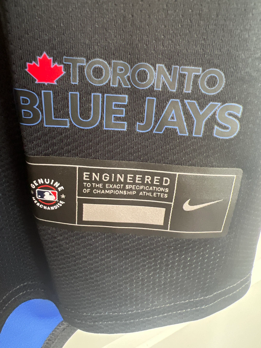Nike Toronto Blue Jays 2024 City Connect Limited Jersey - photo 3
