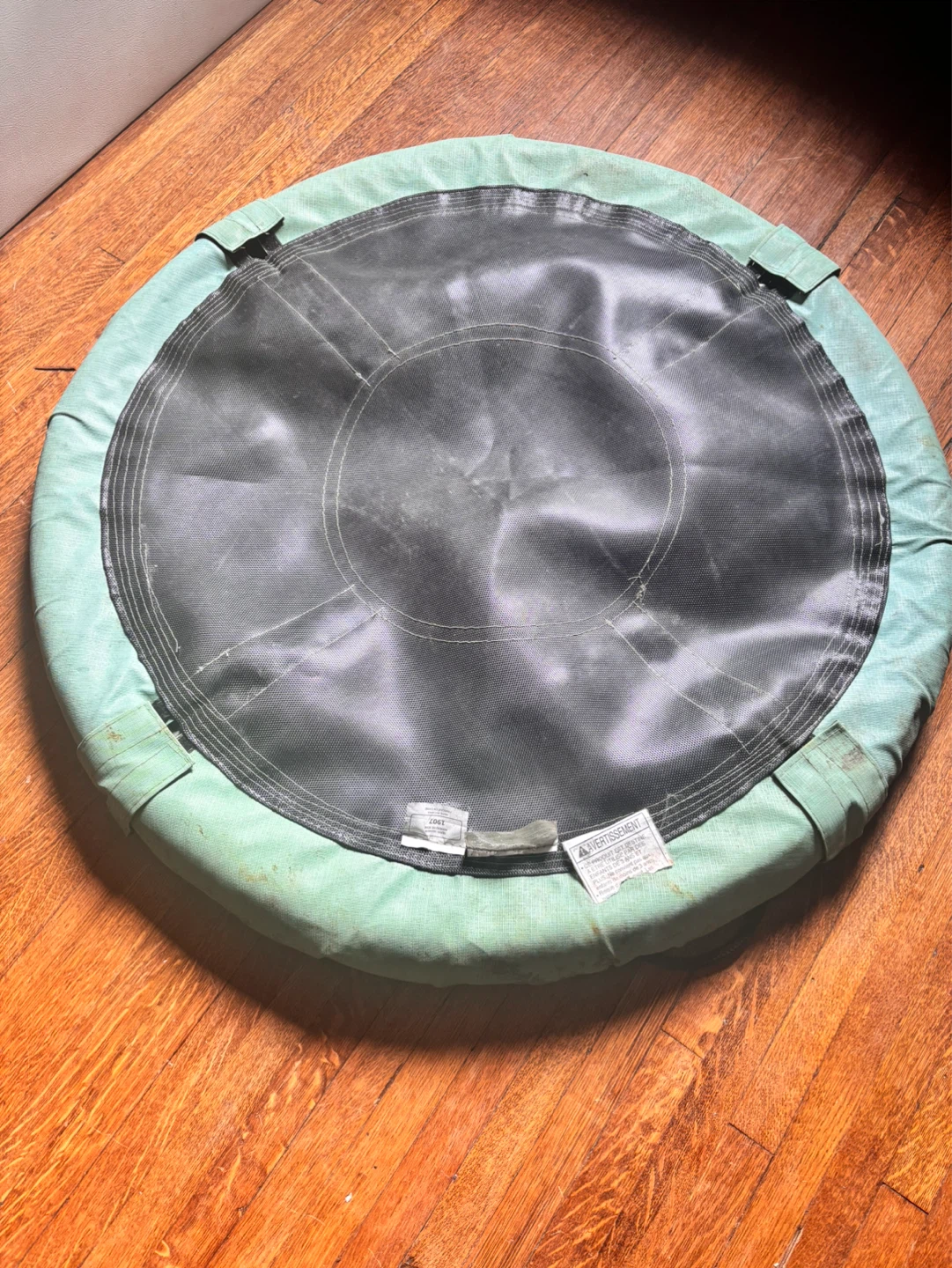 VivaActive Round Saucer Swing Seat - photo 3