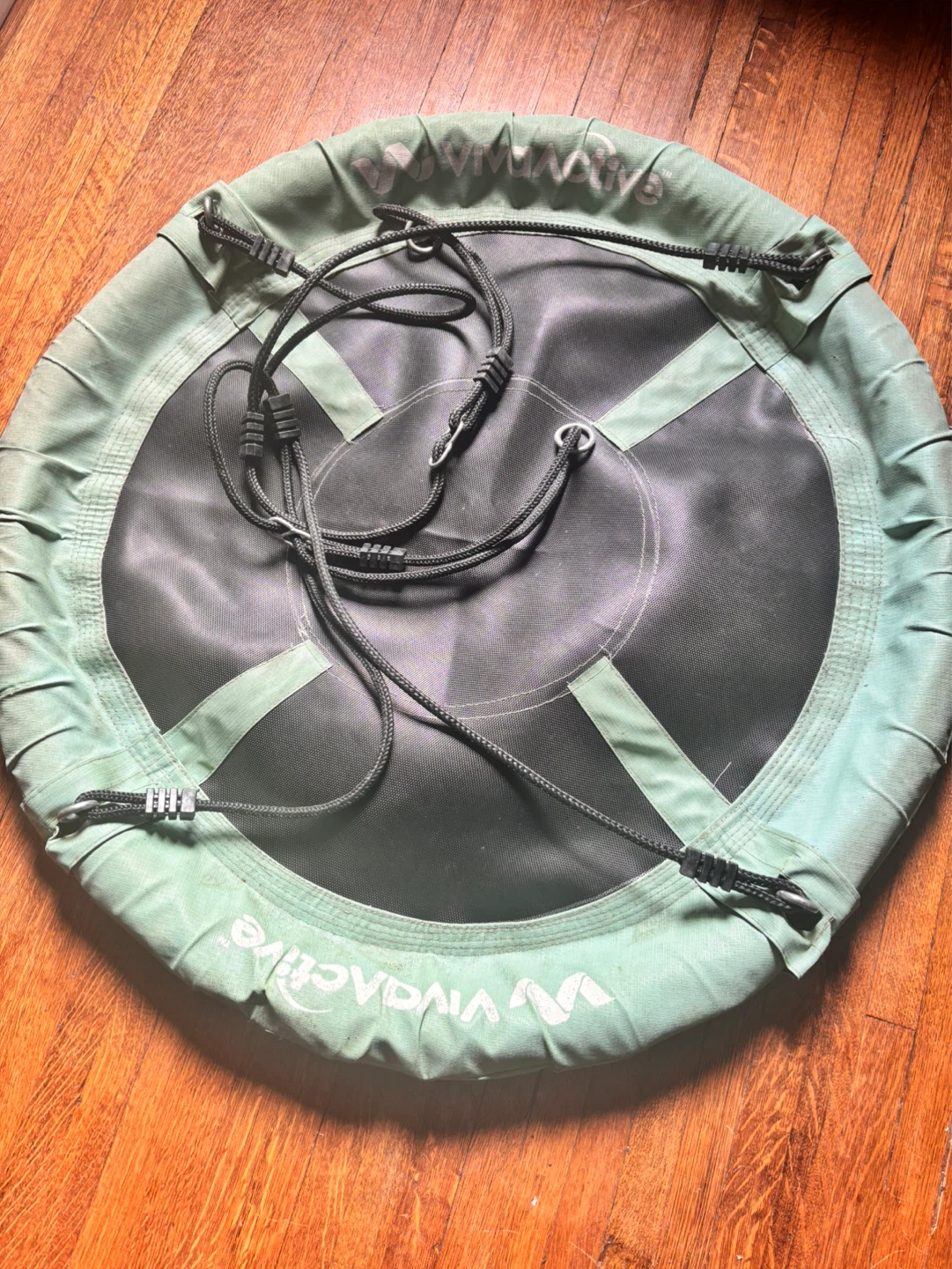 VivaActive Round Saucer Swing Seat - photo 2
