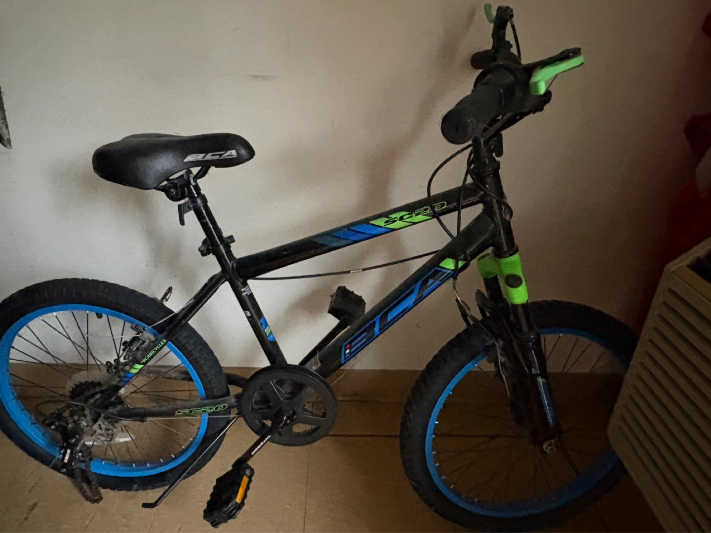 BCA Kids Bicycle
