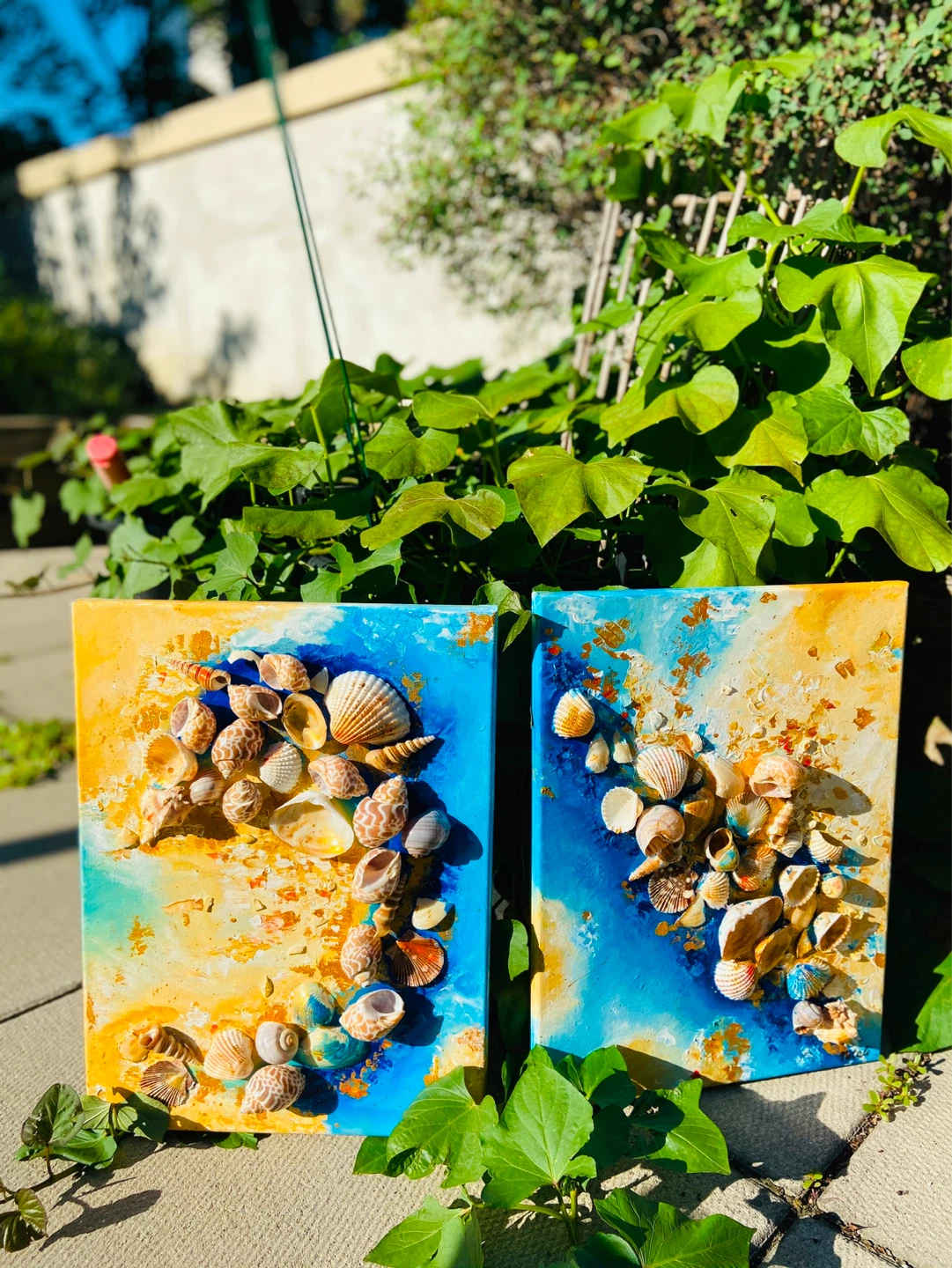 Seashell Wall Art on Canvas