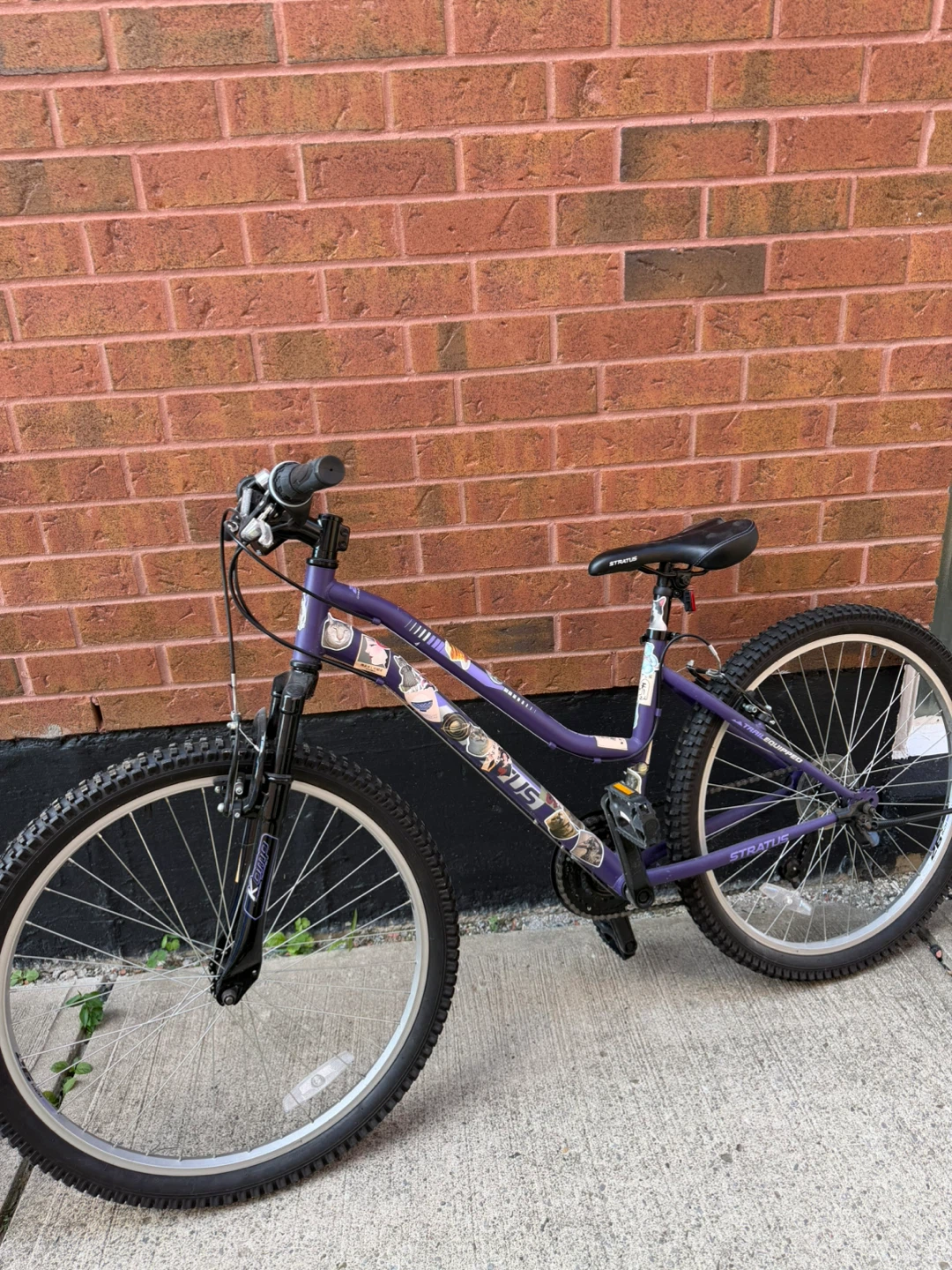 Purple 26 Inch Mountain Bike