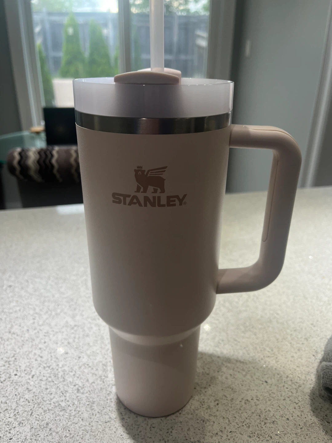 Stanley Tumbler with Straw