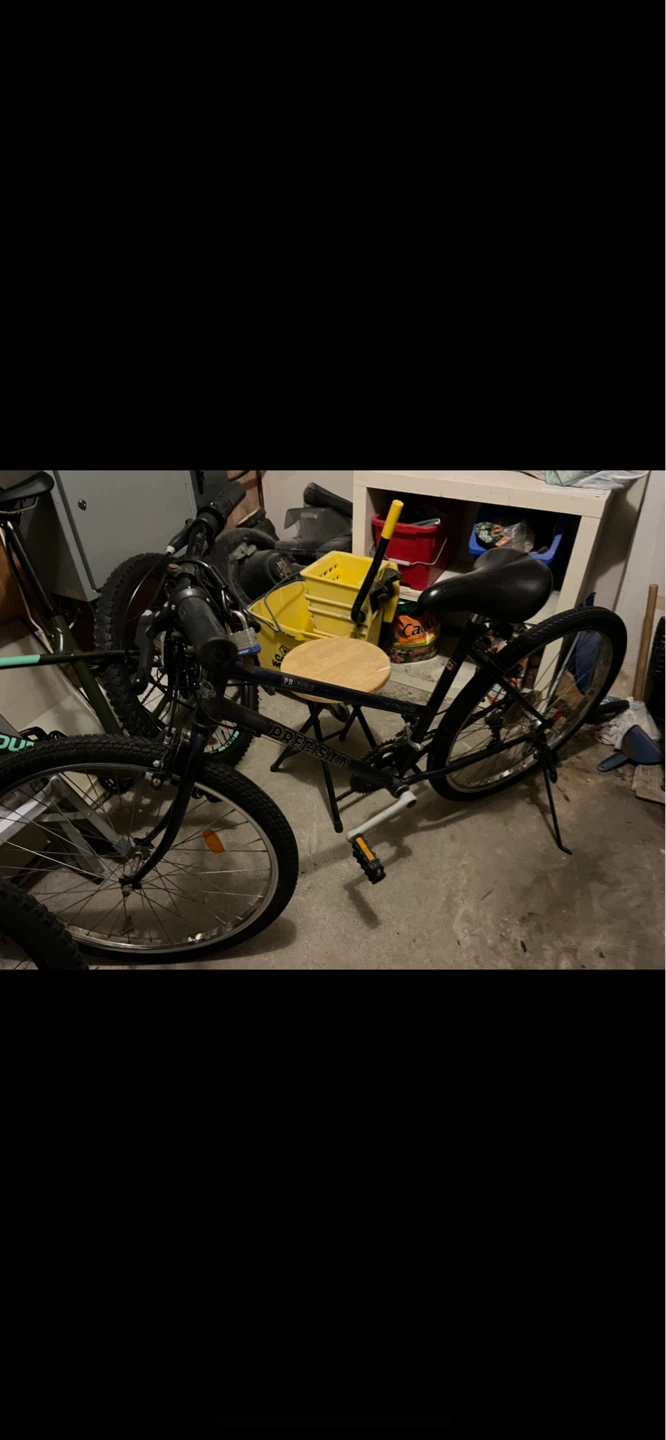 Precision Bicycle - small city cruiser bike