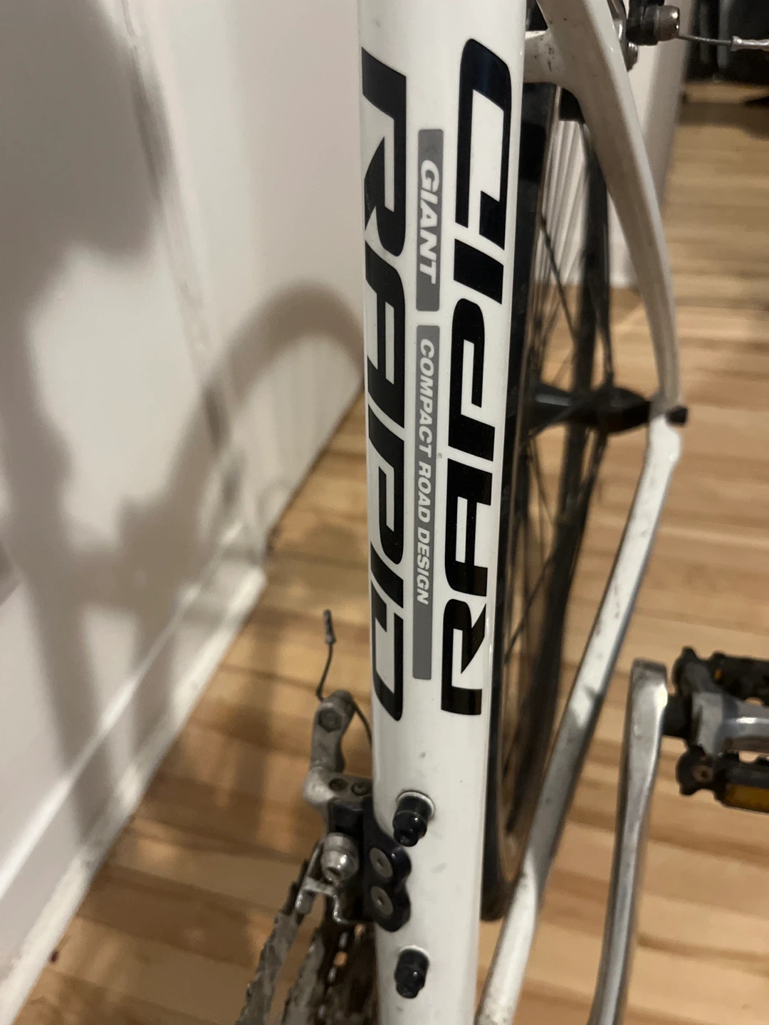 Speedy - Giant Rapid White Hybrid Bike - photo 2