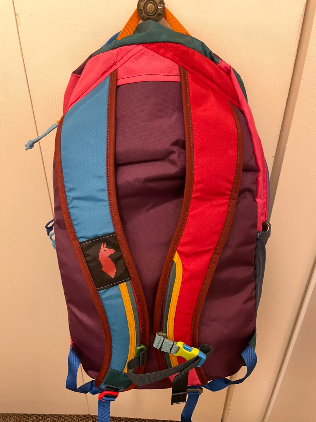 Cotopaxi batac 24L backpack unisex - photo 2