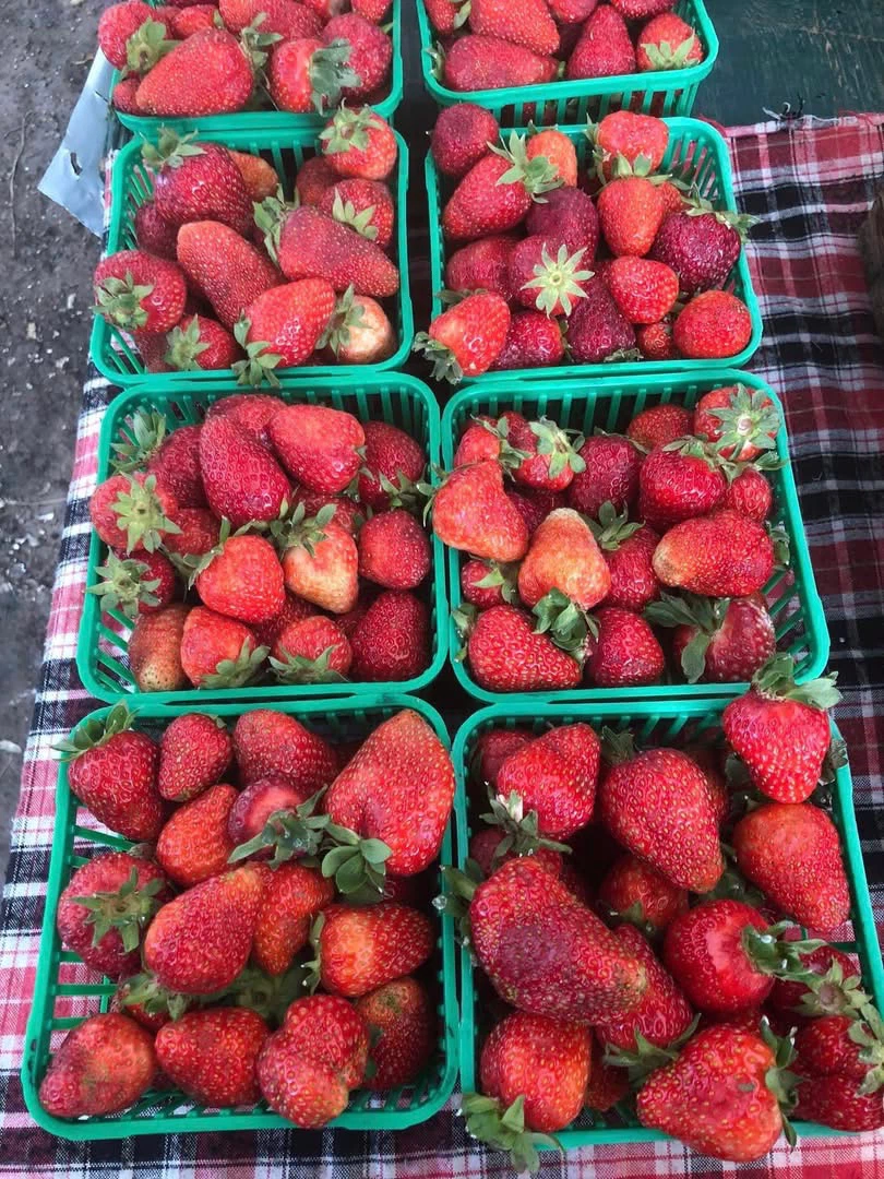 Super sweet strawberries - photo 2
