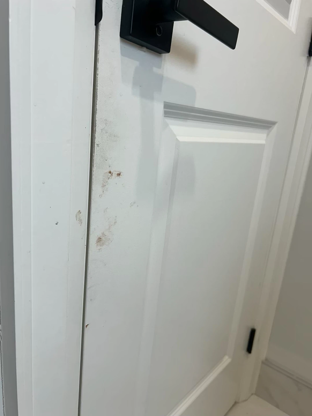 Cleaning services