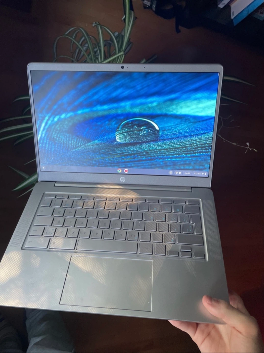 HP Chromebook Laptop 14 Inch