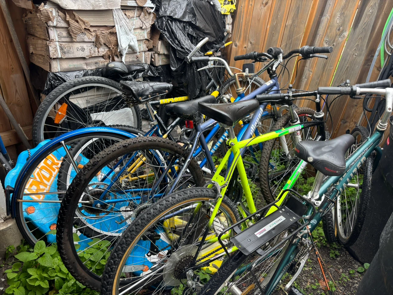 Bikes