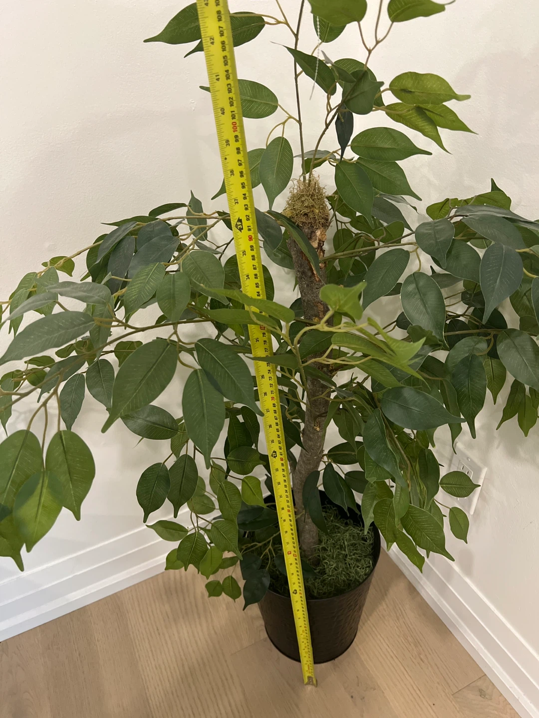 Artificial Ficus Tree in Black Pot - photo 2