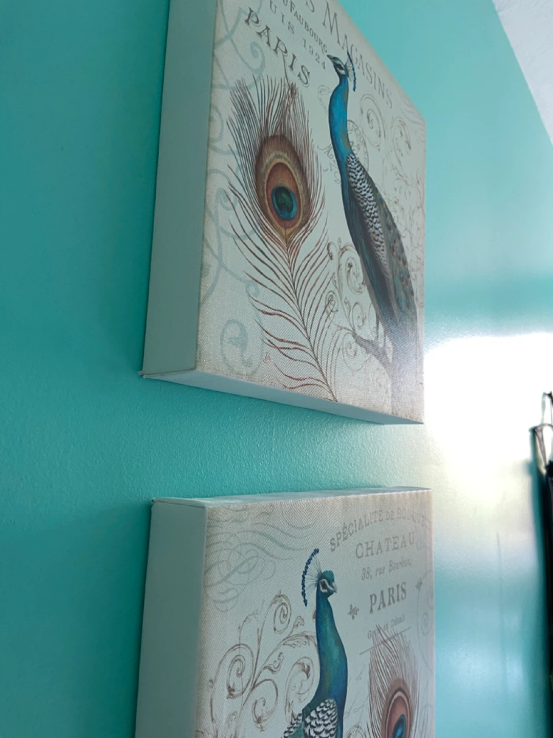 Peacock canvas decor - photo 3