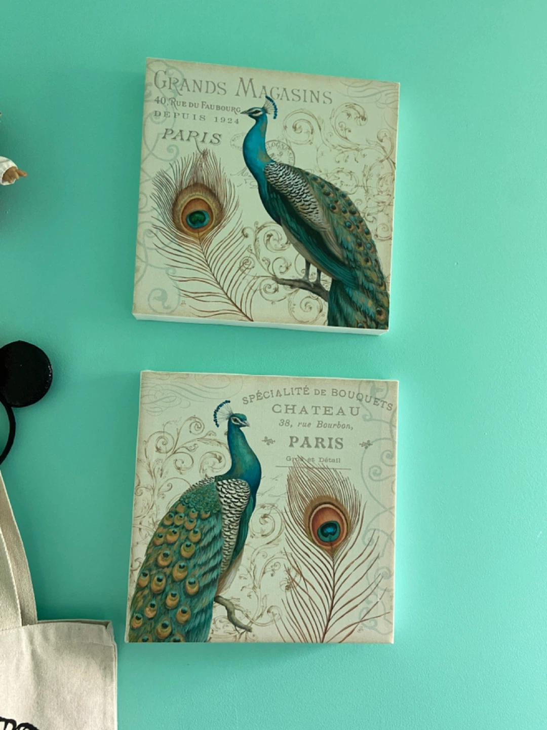 Peacock canvas decor