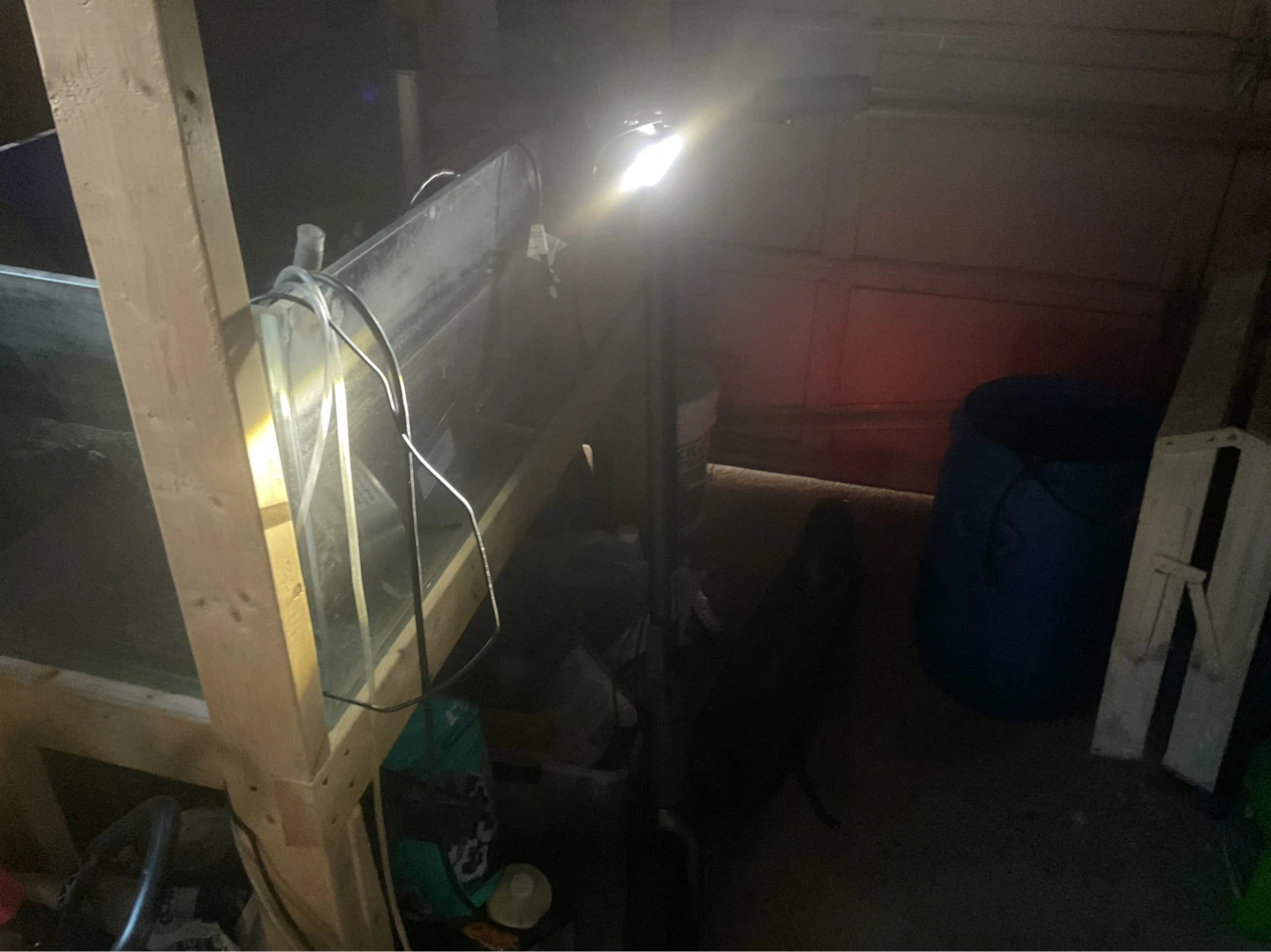 Ninebot MaxG30P for $600 - photo 2