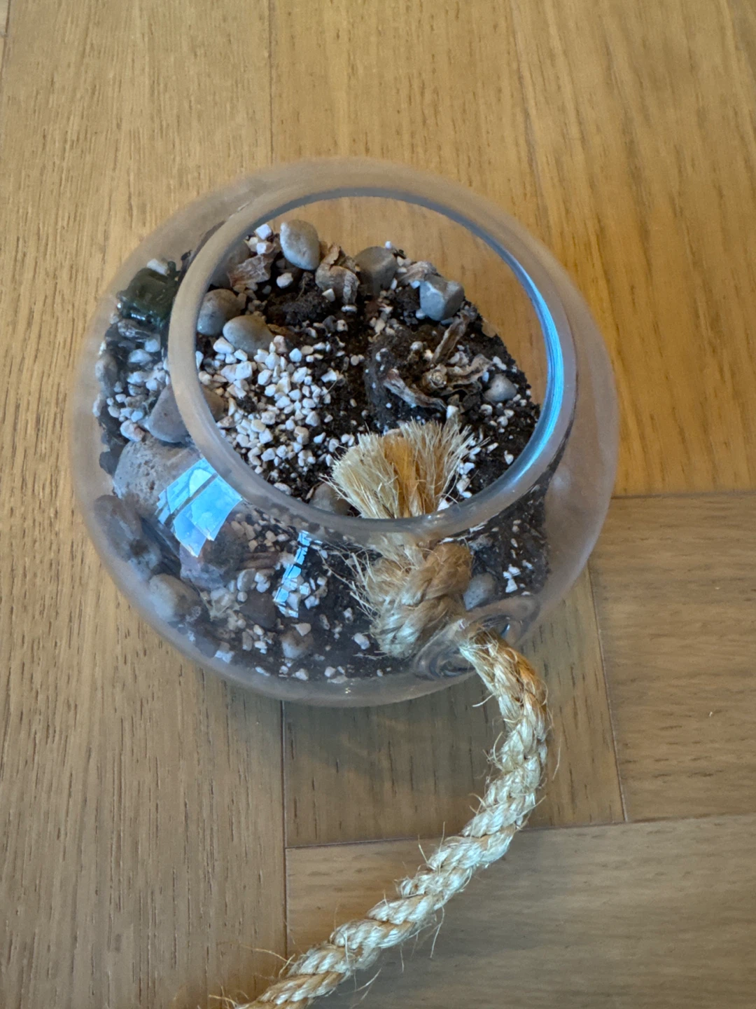 MOVE OUT SALE: Hanging Glass planter with Rope - photo 3
