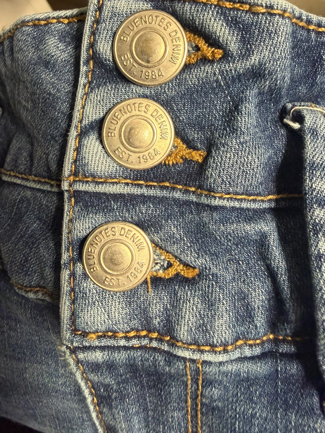 Bluenotes DENIM Women's Regular Jeans Size 2 - photo 4
