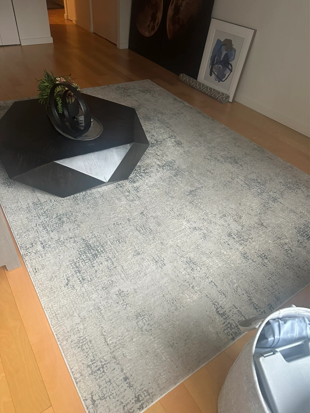 Light Gray Textured Area Rug