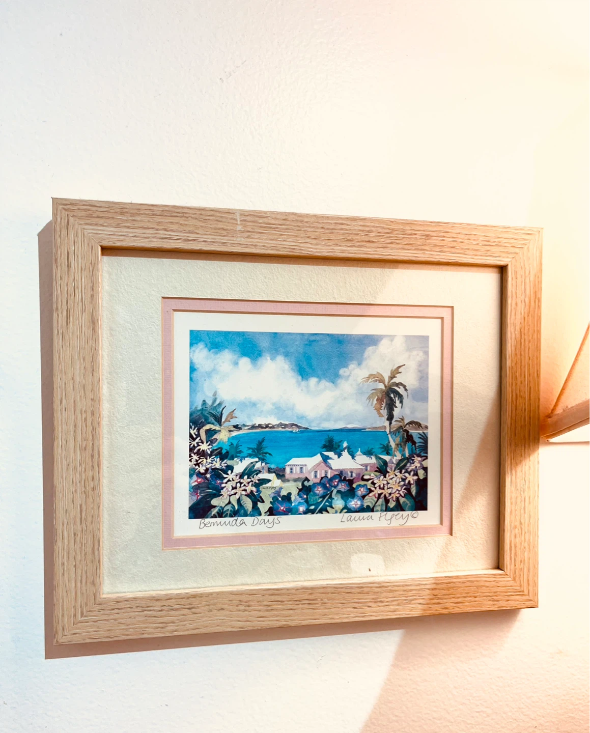 ⚽️ Vintage Bermuda Days Framed Print by Laura H. Geyo
