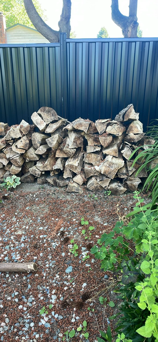 Free firewood  logs for home or camping