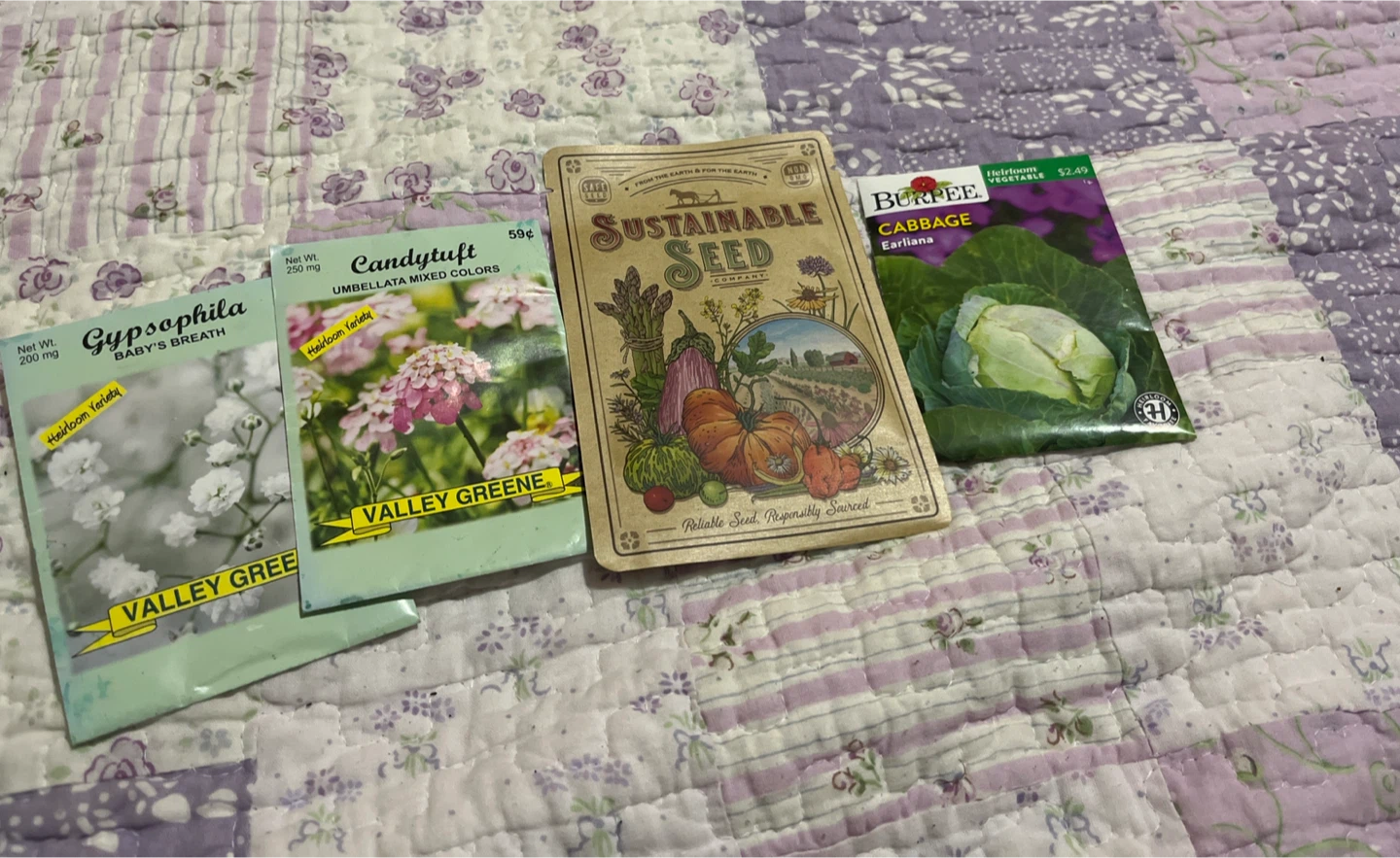 Valley Greene Gypsophila & Candytuft Seed Packets