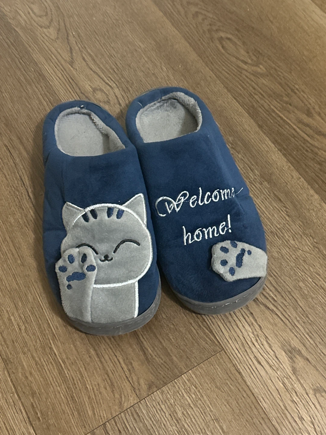 Blue Cat "Welcome Home" Slippers