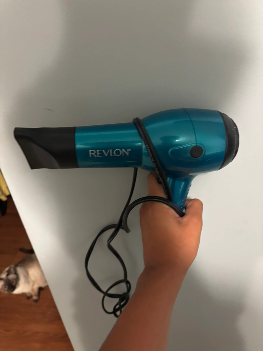 Revlon Teal Hair Dryer
